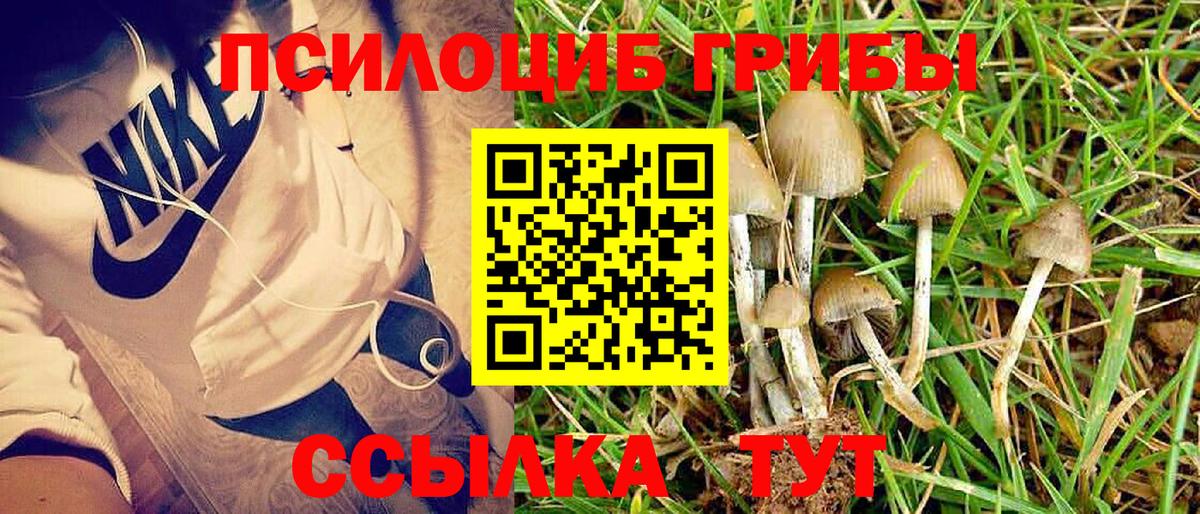 Галлюциногенные грибы GOLDEN TEACHER  Вход с VPN  Галлюциногенные грибы GOLDEN TEACHER  Кропоткин 