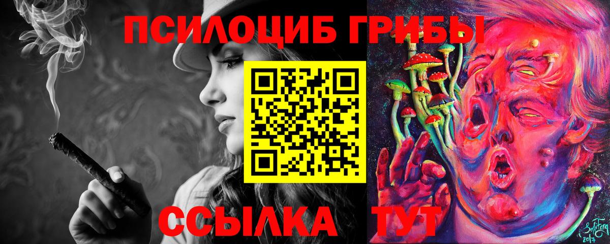 Псилоцибиновые грибы Cubensis Кропоткин